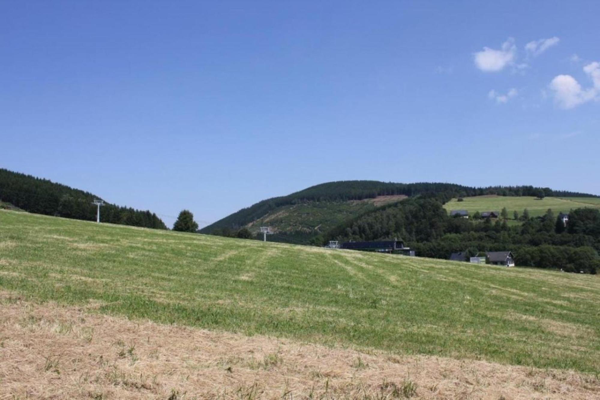 Ferienhaus Easy Holiday Am Ritzhagen Ehem Heinrichs 维林根 外观 照片